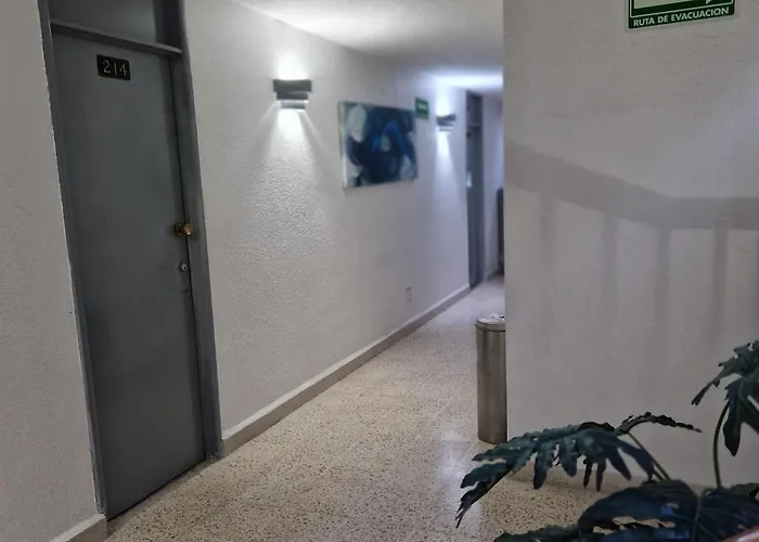 Polly Love hotel Mexico City