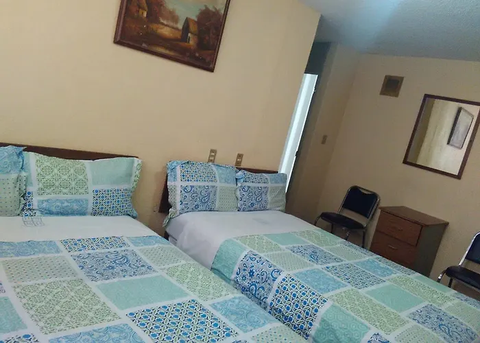 Polly Love hotel Mexico City